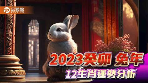 屬狗運勢2023|2023年12生肖運勢大全——生肖狗